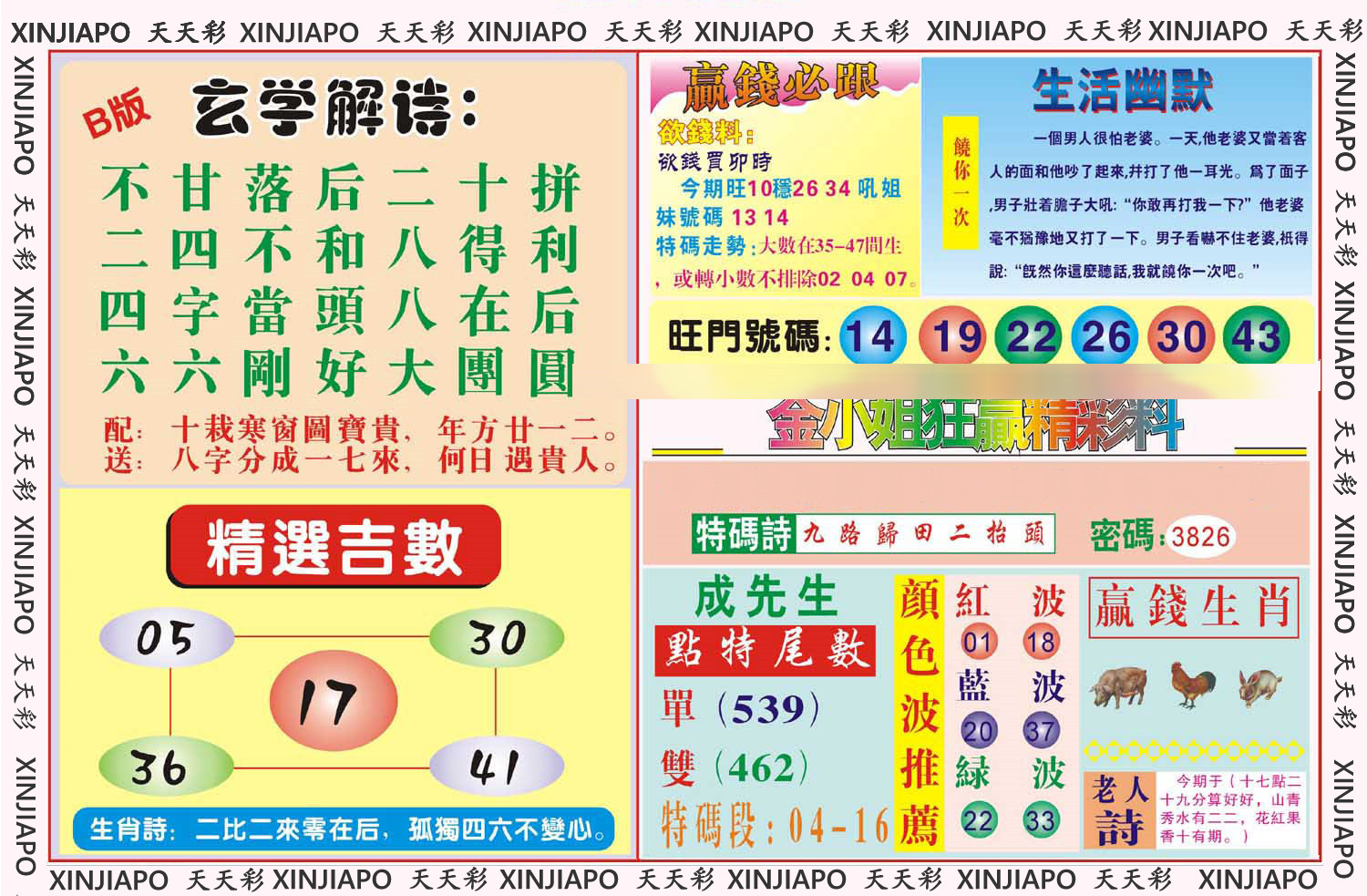 金小姐狂赢精彩料
