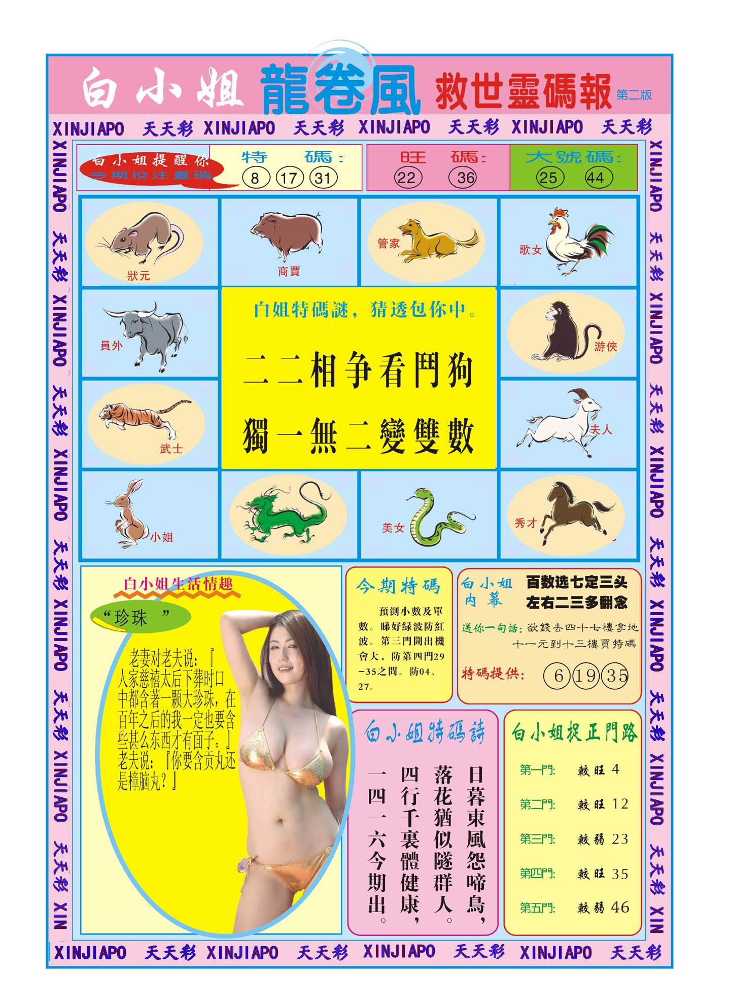 白小姐龙卷風-救世靈码报