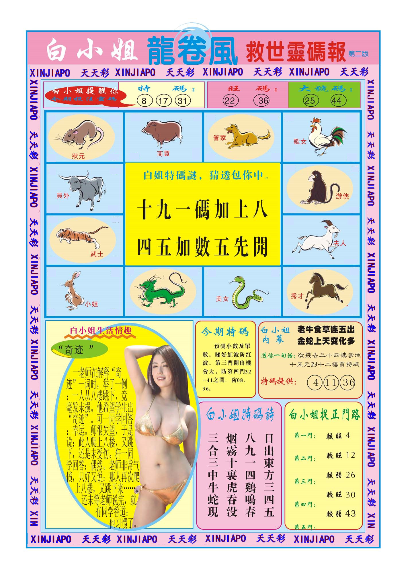 白小姐龙卷風-救世靈码报
