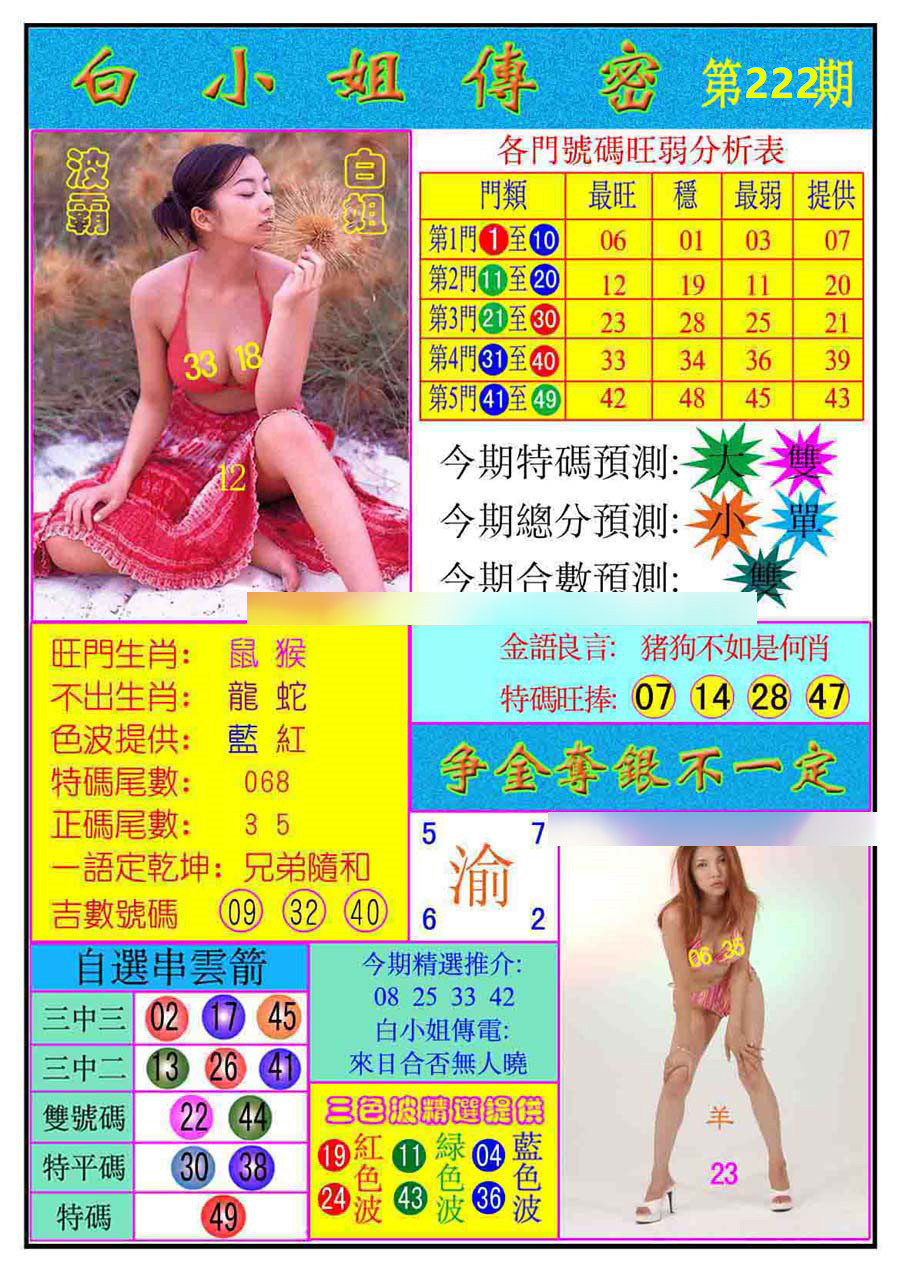 白小姐传密