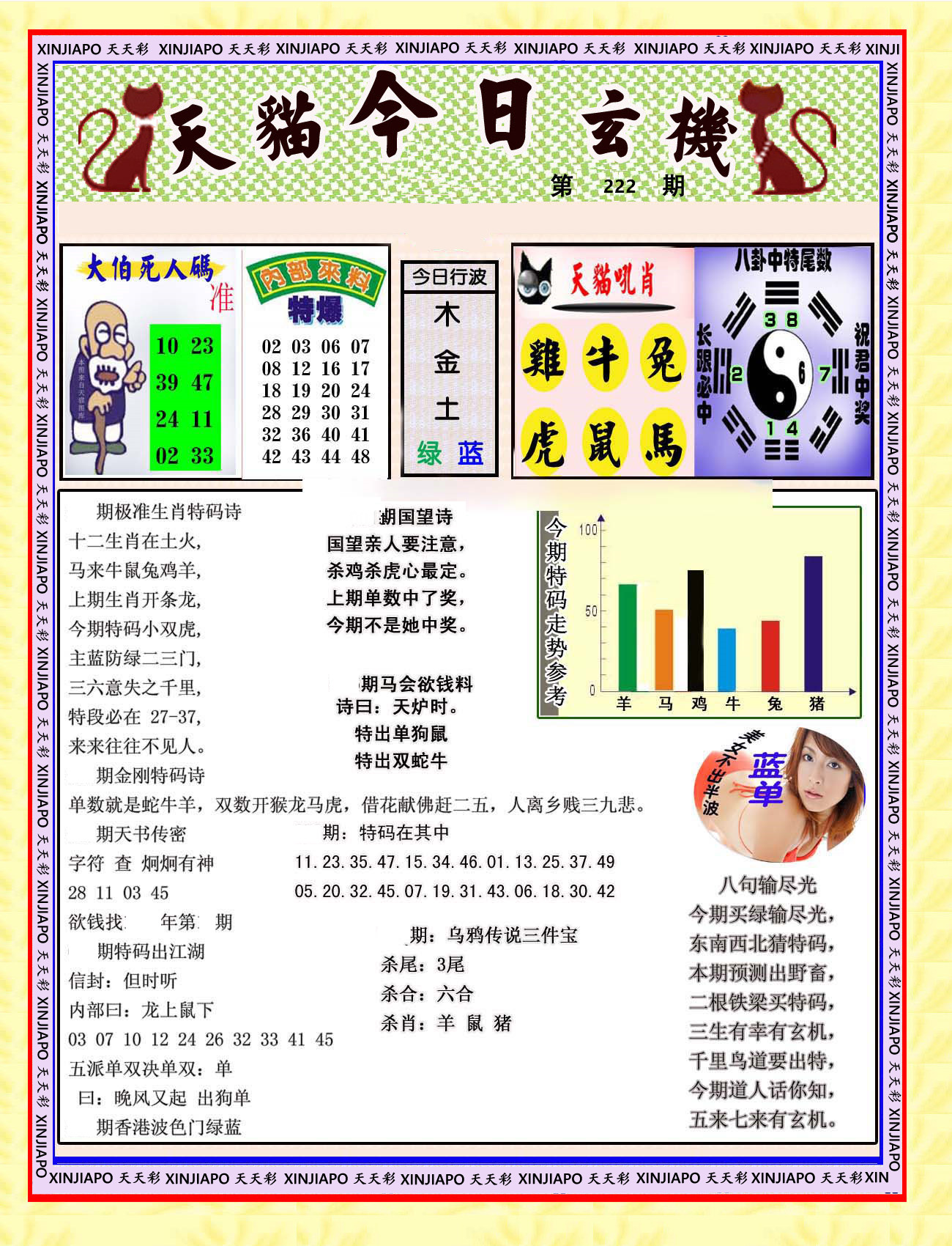 天猫今日玄机