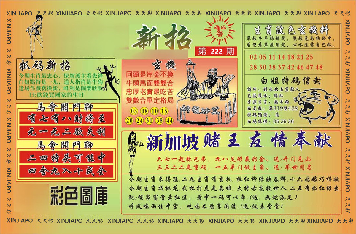 抓码新招